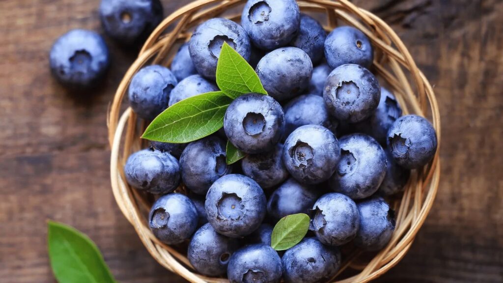 Fresh blueberries in a bowl, brain-boosting antioxidant fruit