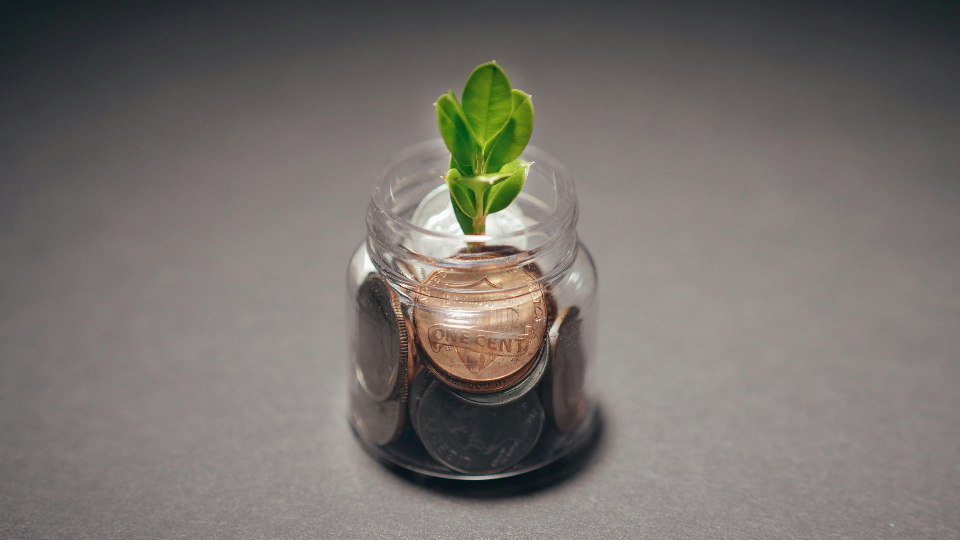 Hands nurturing a small plant growing from coins, symbolizing finance and investing basics.